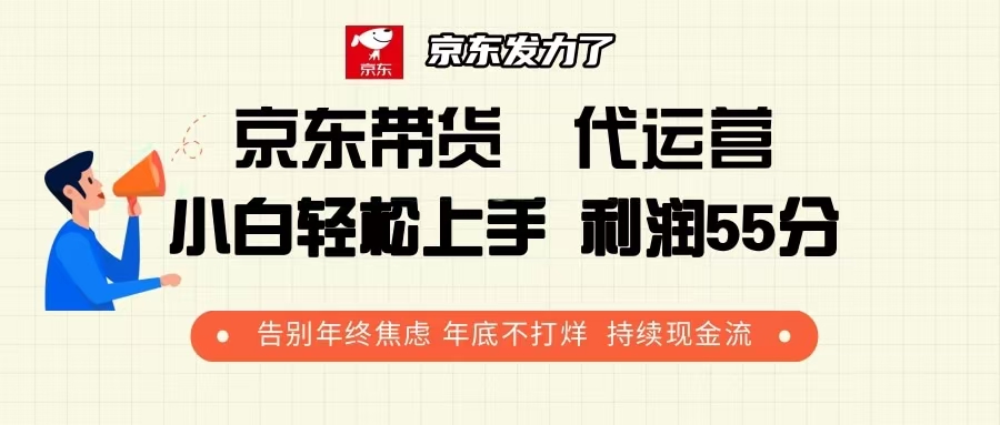 （13833期）京东带货 代运营 利润55分 告别年终焦虑 年底不打烊 持续现金流-辰风资源站