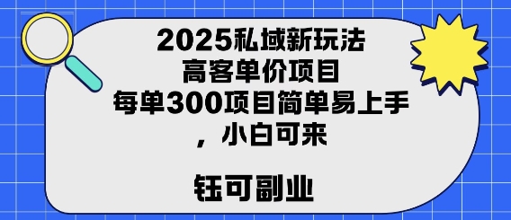2025私域新玩法高客单价，每单3张操作简单，小白可轻松上手-辰风资源站
