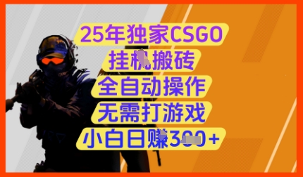 25年独家CSGO挂G搬砖，全自动操作，无需打游戏，小白日入3张+【揭秘】-辰风资源站