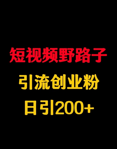 短视频野路子引流创业粉，日引200+-慕云辰风博客