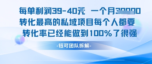每单利润40一个月7k+转化最高的私域项目，每个人都要的产品转化率已经能做到100%-辰风资源站