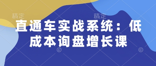 直通车实战系统：低成本询盘增长课，让个人通过技能实现升职加薪，让企业低成本获客，订单源源不断-慕云辰风博客