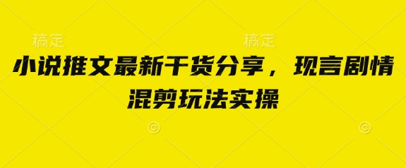 小说推文最新干货分享，现言剧情混剪玩法实操-辰风资源站