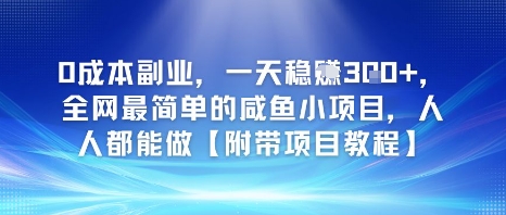 0成本副业，一天稳入3张，全网最简单的咸鱼小项目，人人都能做【附带项目教程】-辰风资源站
