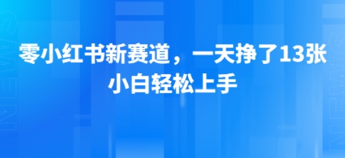 小红书新赛道，一天挣了13张，小白轻松上手-辰风资源站