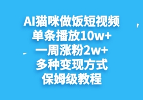 AI猫咪做饭短视频，单条播放10w+，一周涨分2w+，多种变现方式，保姆级教程-辰风资源站