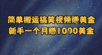 简单搬运搞笑视频挣美金，新手一个月入1k美金-辰风资源站