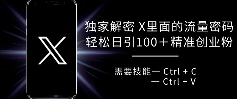 独家解密 X 里面的流量密码，复制粘贴轻松日引100+-慕云辰风博客