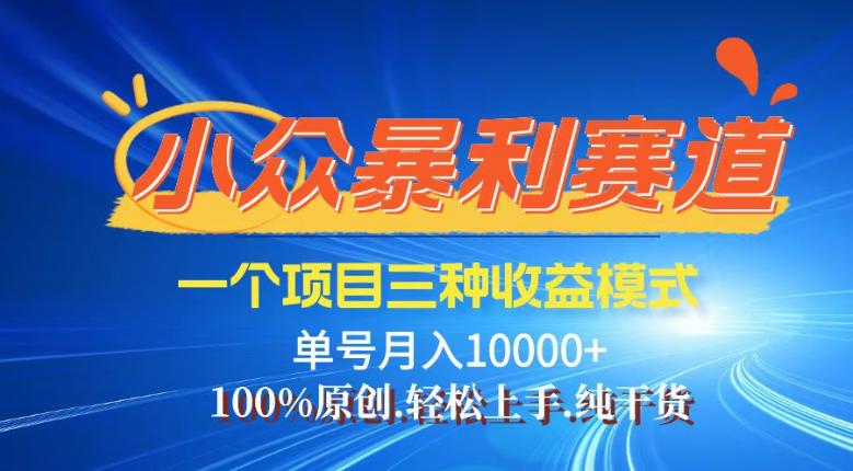 （14300期）【灵狐计划】视频号最新爆火赛道，三种收益模式，0粉新号条条热门原创…-辰风资源站