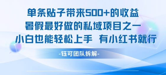 单条贴子带来5张的收益，暑假最好做的私域项目之一，小白也能轻松上手，有小红书就行-辰风资源站