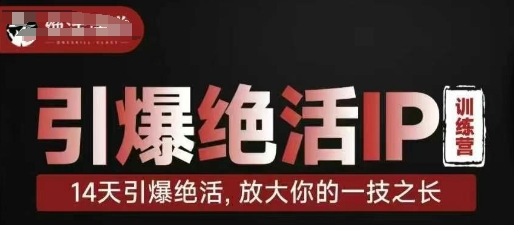 引爆绝活IP训练营，14天引爆绝活，放大你的一技之长-辰风资源站