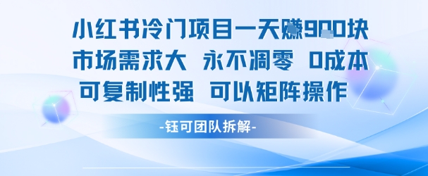 小红书冷门项目一天收益9张，市场需求大，0成本，可复制性强可以矩阵操作-辰风资源站