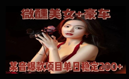 微醺美女+豪车，抖音爆款项目单日稳定2张+-辰风资源站