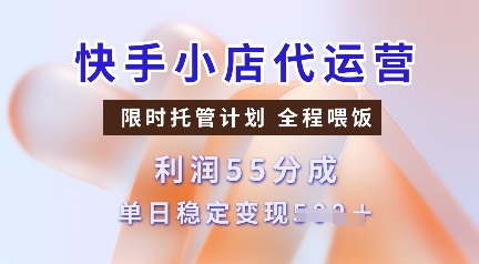 快手小店代运营，限时托管计划，收益55分，单日稳定变现多张【揭秘】-慕云辰风博客