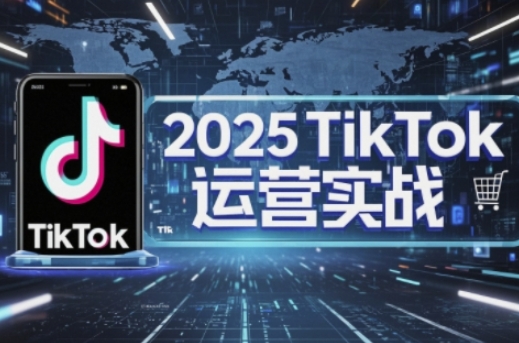 2025TikTok电商运营，掌握TikTok店铺运营核心技巧，实现低成本高转化-辰风资源站