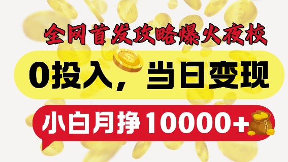 全网首发爆火夜校，0投入，当日变现，小白轻松月入1w+【揭秘】-辰风资源站