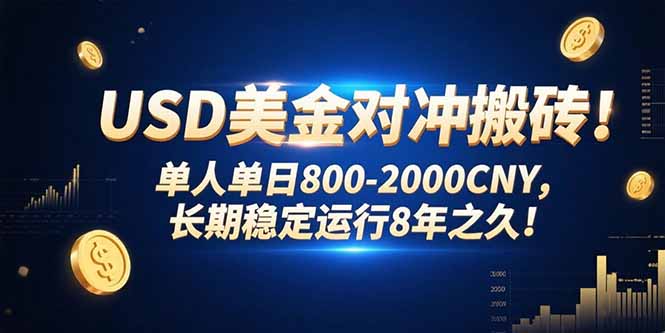 （15551期）USD美金对冲搬砖!单人单日800-2000CNY，长期稳定运行8年之久!-辰风资源站