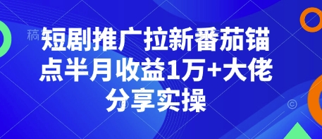 短剧推广拉新番茄锚点半月收益1万+大佬分享实操-慕云辰风博客