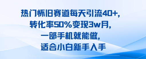 热门怀旧赛道每天引流40+，转化率50%月变现3w，一部手机就能做，适合小白新手入手-辰风资源站