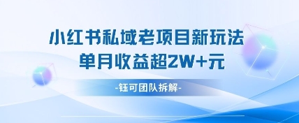 小红书私域项目新玩法，单月变现过W+-辰风资源站