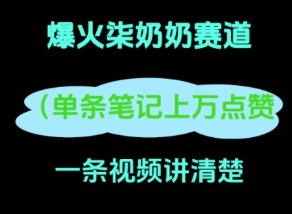 小红书爆火柒奶奶，13 天涨粉 8.7 W，全流程拆解-辰风资源站
