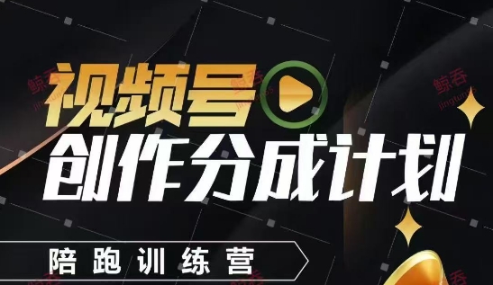 视频号创作分成计划陪跑训练营，手把手教会你如何制作视频，细水长流型项目-辰风资源站