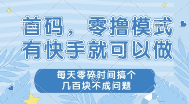 首码零撸项目，有快手就可以做，每天业务时间搞个几张不是问题【揭秘】-辰风资源站