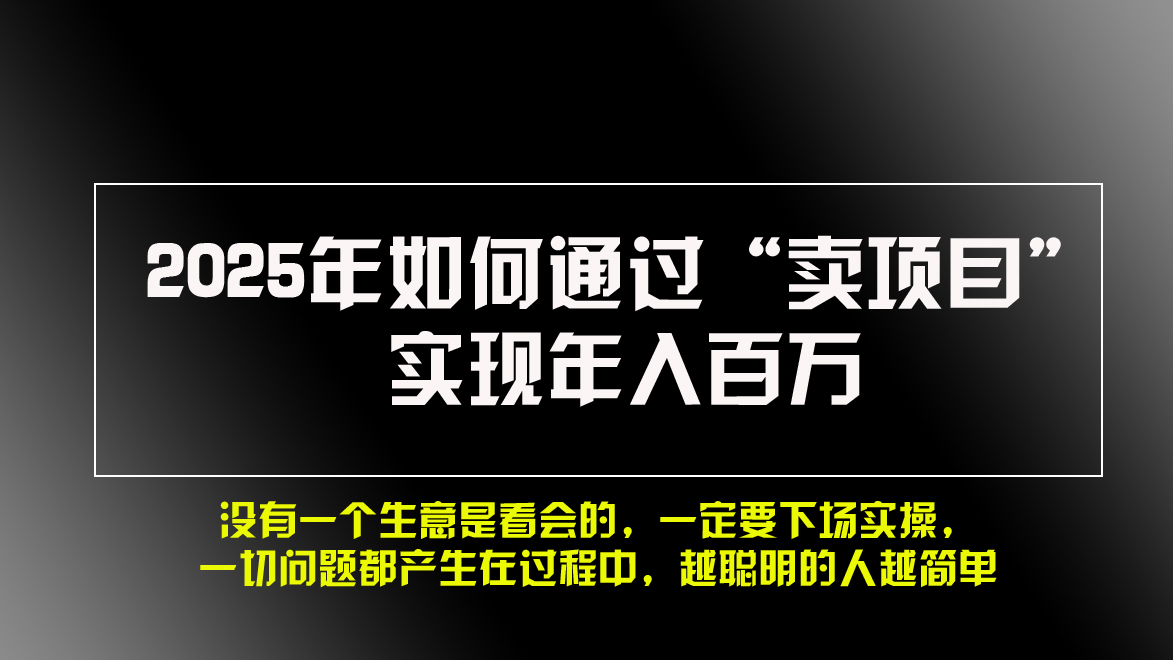 （13468期）2025年如何通过“卖项目”实现年入百万，做网赚必看！！-慕云辰风博客