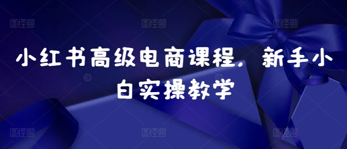 小红书高级电商课程，新手小白实操教学-慕云辰风博客