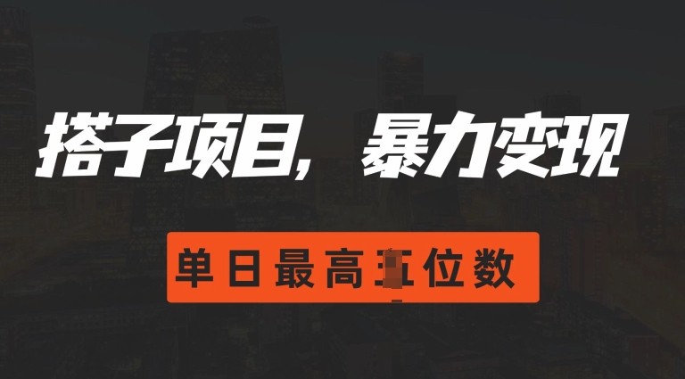 2024搭子玩法，0门槛，暴力变现，单日最高破四位数【揭秘】-慕云辰风博客