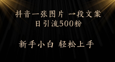 每天2分钟，抖音一张图片 一段文案日引流500粉-辰风资源站