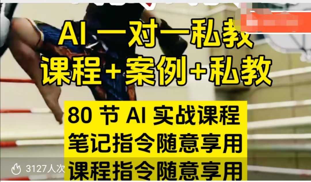 AI指令实战课，课程+案例，80节AI实战课程，笔记指令随意享用，课程指令随意享用-慕云辰风博客