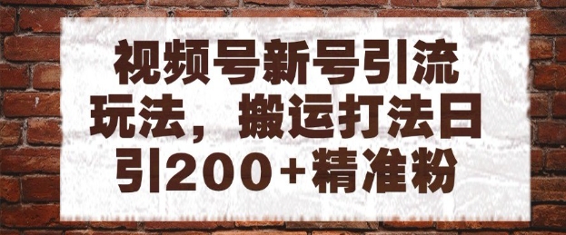视频号新号引流玩法，搬运打法日引200+精准粉，可矩阵放大【揭秘】-辰风资源站