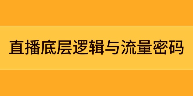 （14695期）直播底层逻辑与流量密码：定位模型+案例拆解，急速流承接与数据优化全攻略-辰风资源站