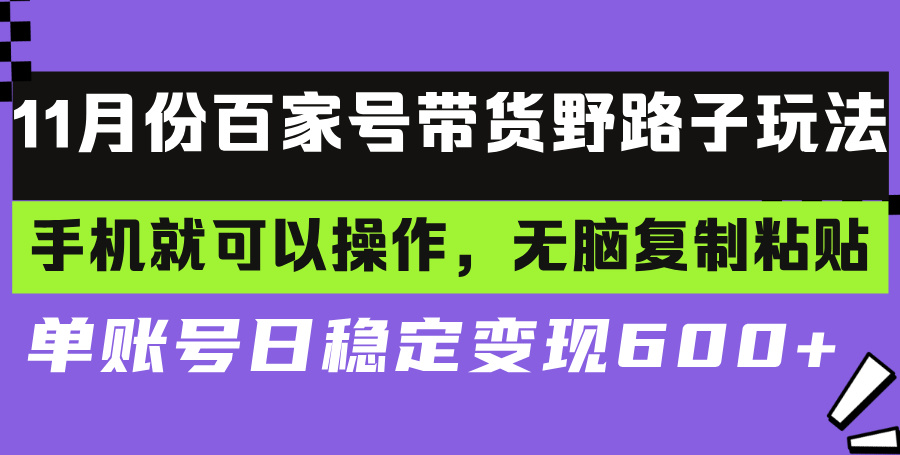 （13281期）百家号带货野路子玩法 手机就可以操作，无脑复制粘贴 单账号日稳定变现…-慕云辰风博客