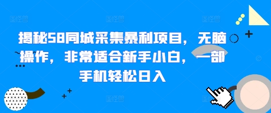 揭秘58同城采集暴利项目，无脑操作，非常适合新手小白，一部手机轻松日入-慕云辰风博客