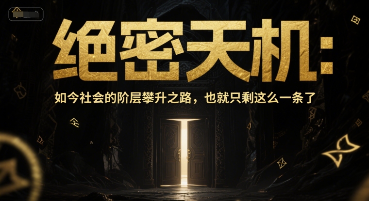 付费文章：绝密天机：如今社会的阶层攀升之路，也就只剩这么一条了-辰风资源站