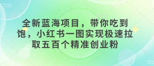 全新蓝海项目，带你吃到饱，小红书一图实现极速拉取五百个精准创业粉-慕云辰风博客