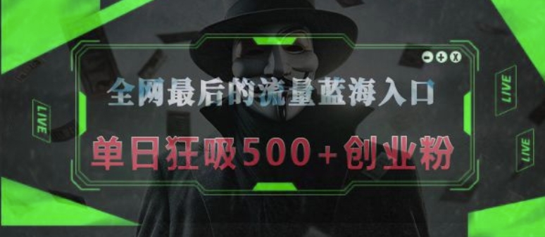 全网最后的流量蓝海入口，半小时引流50+创业粉，单日狂吸500+创业粉-慕云辰风博客