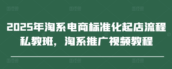 2025年淘系电商标准化起店流程私教班，淘系推广视频教程-辰风资源站