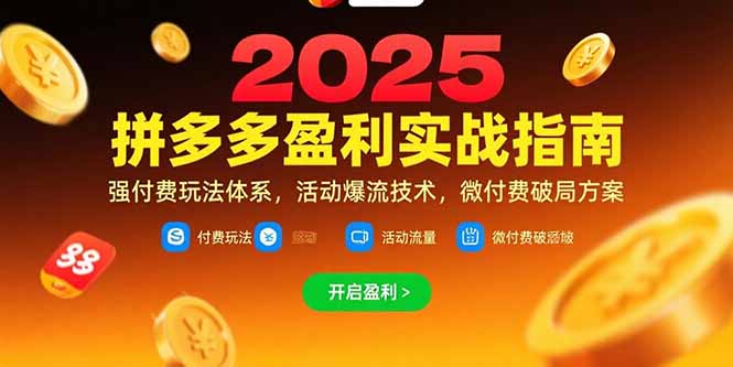 （15357期）拼多多盈利实战指南，强付费玩法，活动爆流技术，微付费破局方案(更新7月)-辰风资源站