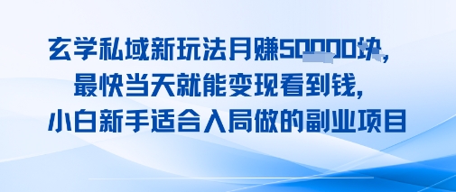 玄学私域新玩法月入1W+，最快当天就能变现看到米，小白新手适合入局做的副业项目-辰风资源站