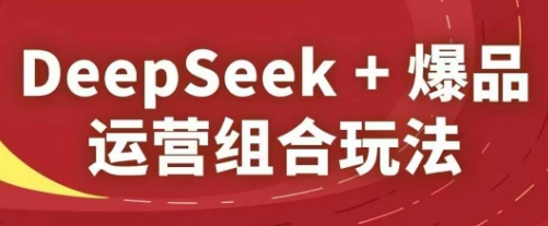 DeepSeek+爆品运营组合玩法，2025淘系精品课-辰风资源站