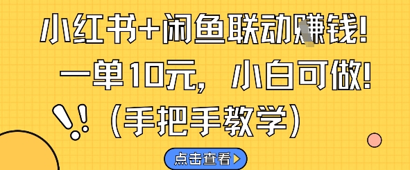 小红书+闲鱼联动挣钱，一单10元，小白可做-辰风资源站