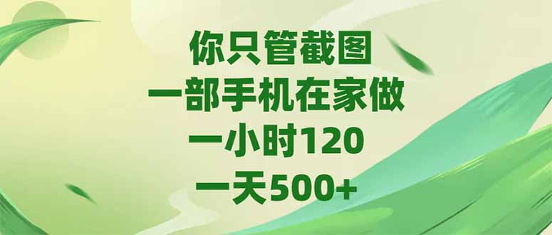 （15039期）你只管截图，一部手机在家做，一小时120，-天500+-辰风资源站