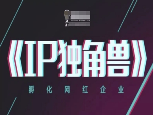 IP独角兽，孵化网红企业，ip教程-辰风资源站