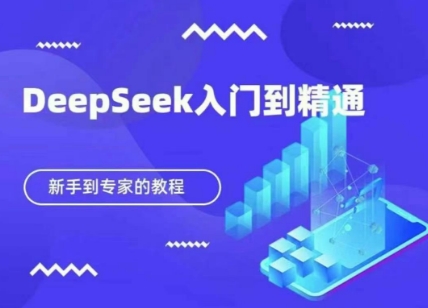 DeepSeek快速从入门到精通，新手的保姆级教程-辰风资源站