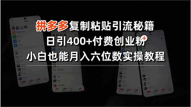 （15613期）拼多多复制粘贴引流秘籍，日引400+付费创业粉，小白也能月入六位数实操…-辰风资源站