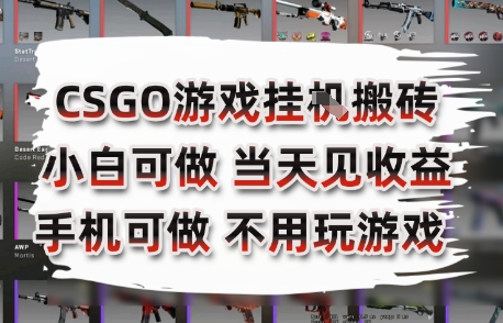 CSGO游戏挂G搬砖，小白纯手机即可操作，不用电脑打游戏，日入3张+，副业网创项目【揭秘】-辰风资源站