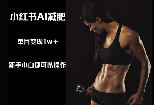 小红书AI减肥，新手小白都可以操作，单月变现1w+-辰风资源站